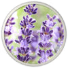 DR.HC All-Natural Brightening Herbal Deodorant (20g, 0.7oz.) (Deodorizing, Anti-bacterial, Skin brightening, Anti-aging...)